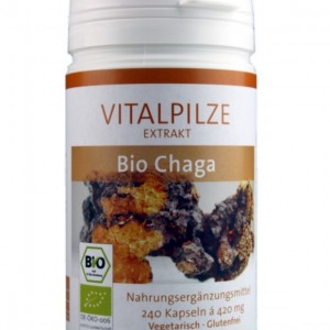 Chaga 240 Kapseln Extrakt