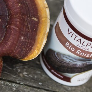 Reishi_quer1500x1000_6425