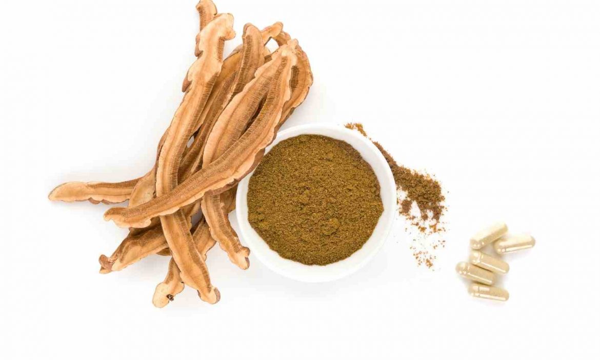 Reishi Pulver