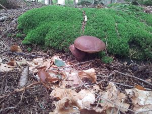 skal_20130925_135209_top