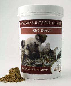 Reishi_Pilze_Wohlrab_skalIMG_9342