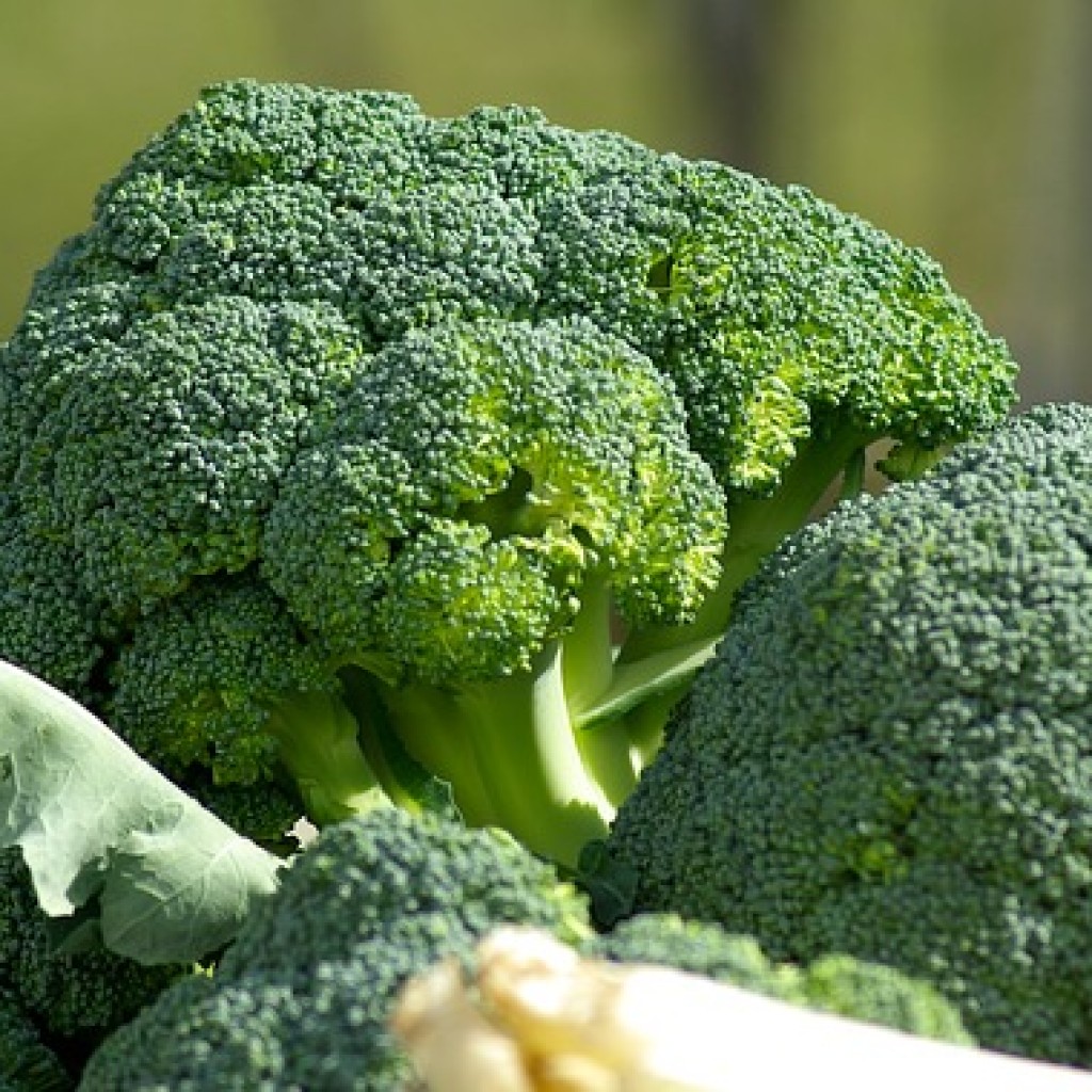 Vitamin K findet sich vor allem in grünem Gemüse, aber auch in Pilzen.
