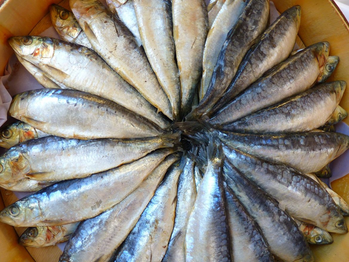 Fisch als Quelle von Pantothensäure
