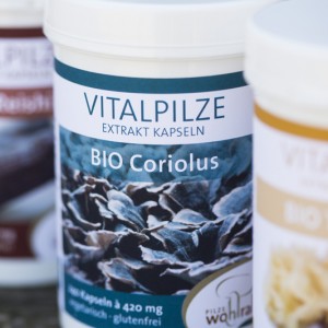 Coriolus_Vitalpilz