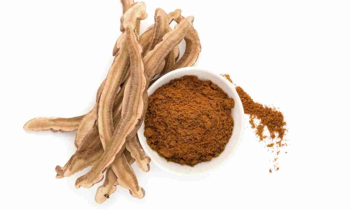 Heilpraktiker Kongress des Südens getrockneter Reishi
