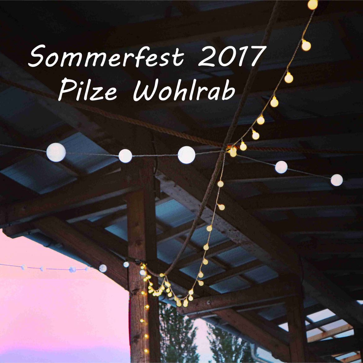 Sommerfest 2017