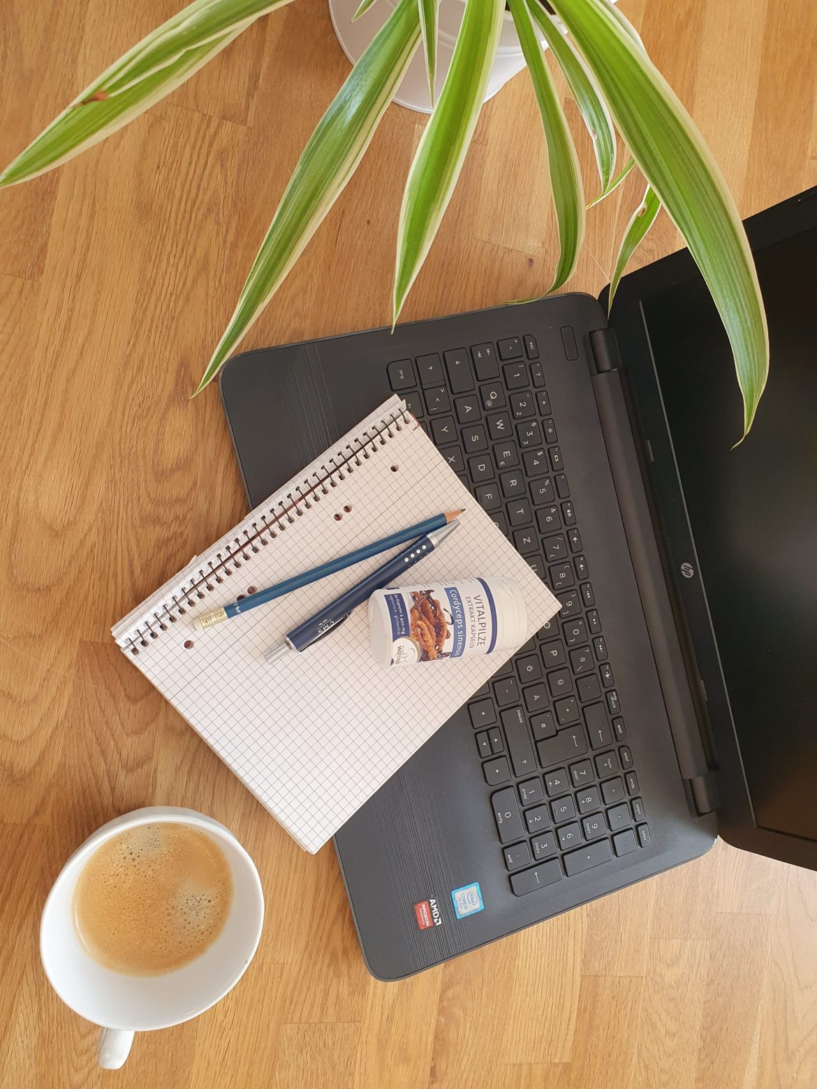 home-office-mit-cordyceps