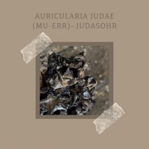 Auricalaria judae - Judasohr