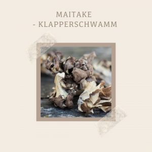 Maitake-Klapperschwamm