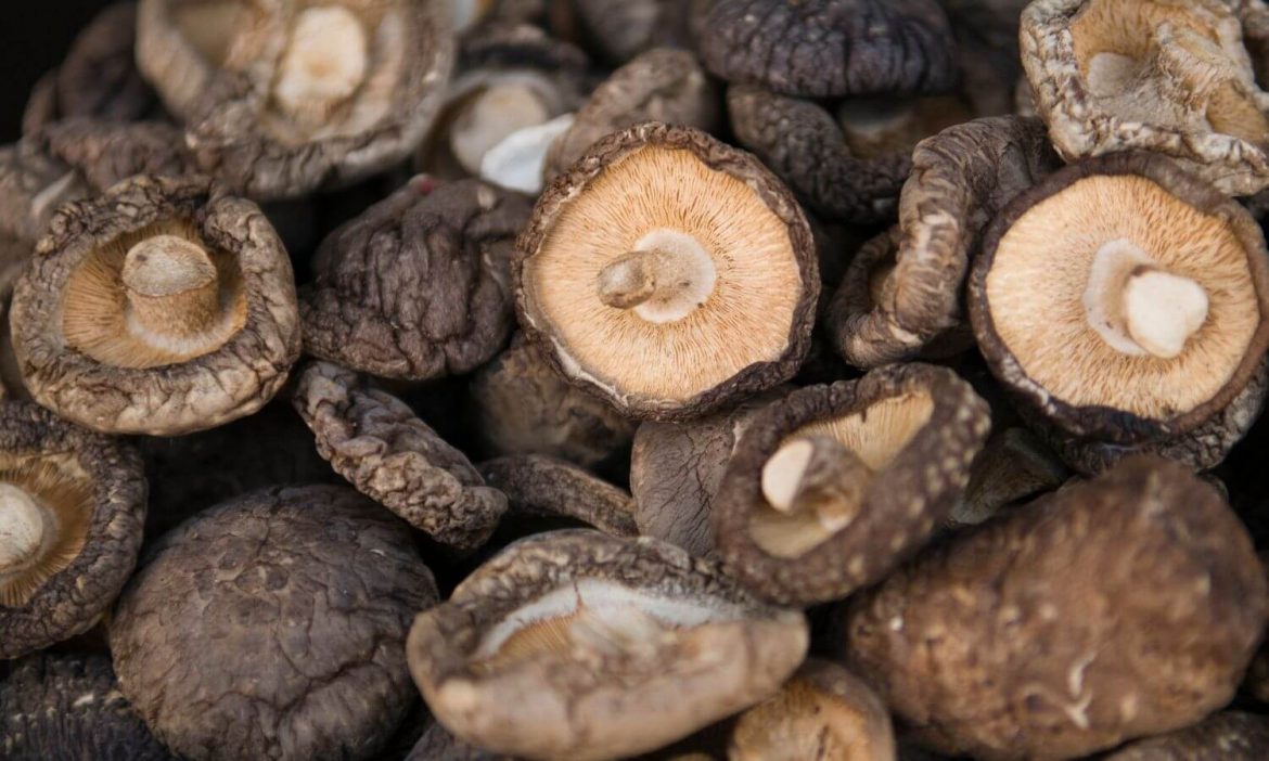 Getrocknete Pilze von Pilze Wohlrab