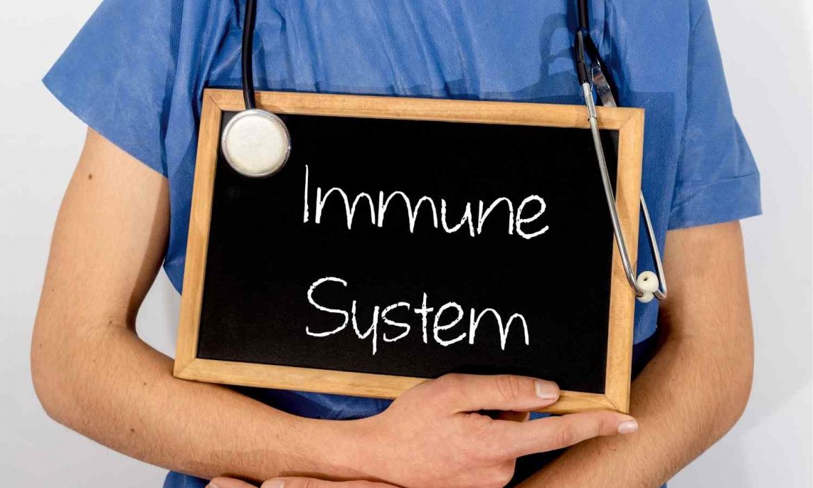 immunsystem
