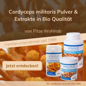 Bio Cordyceps militaris Vitalpilz-Produkte