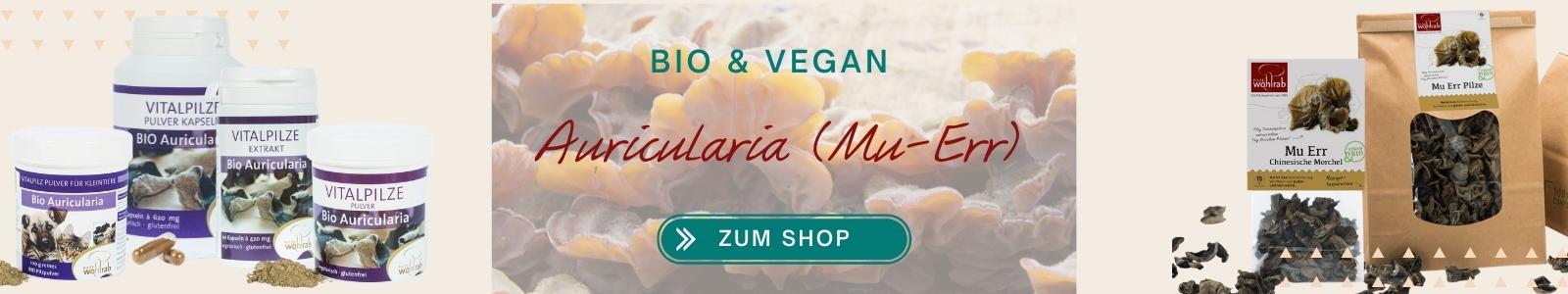 Auricularia judae Vitalpilz Trockenpilz