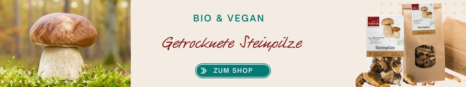 Bio Steinpilze
