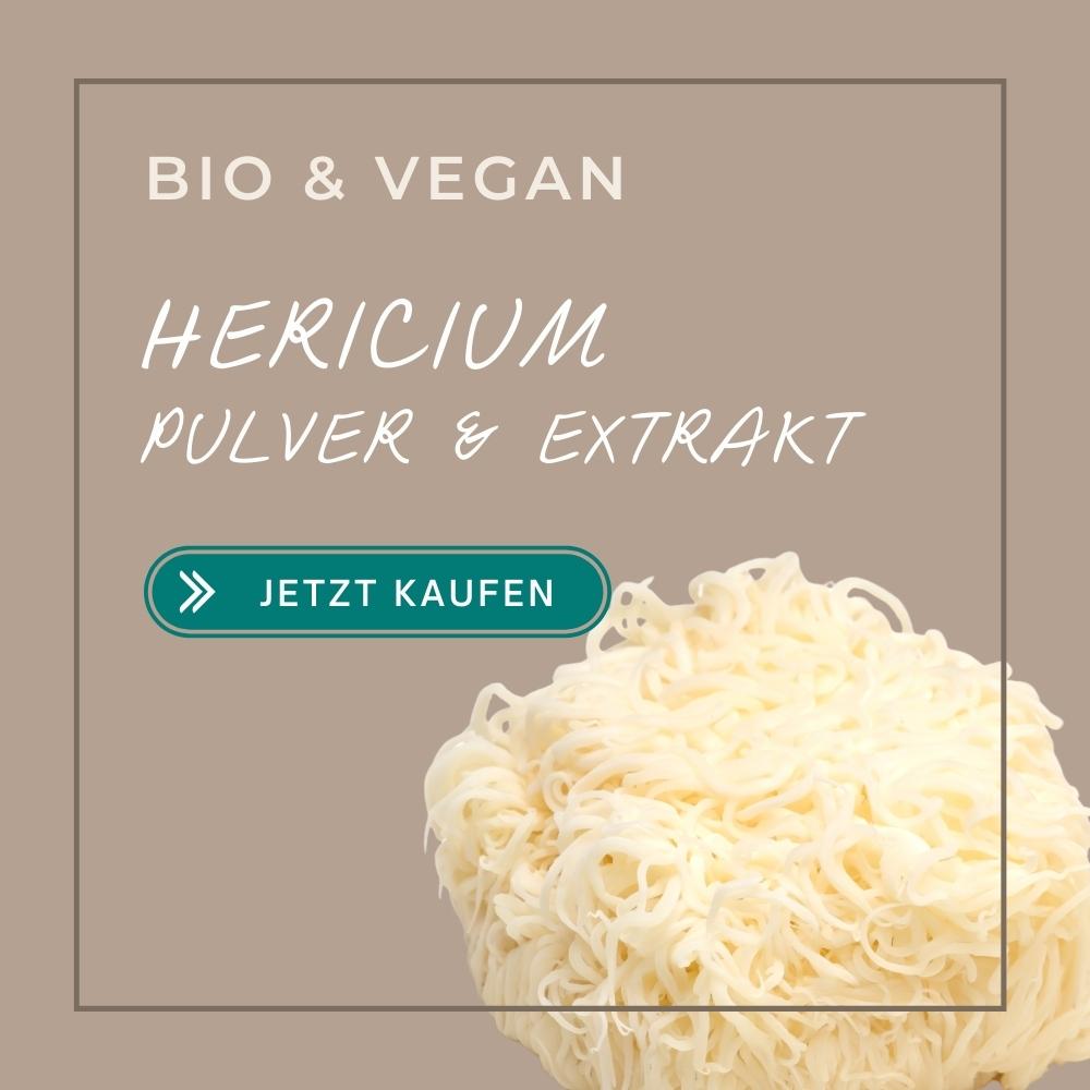Hericium Vitalpilz